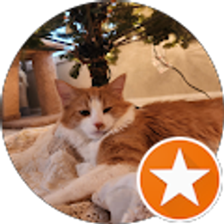 Profile photo of Hannah Hannah