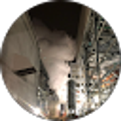 Profile photo of Brandon Spadolino