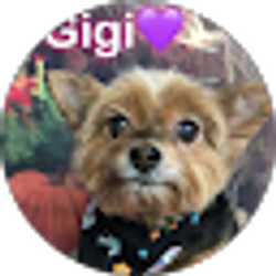 Profile photo of Judith Belli