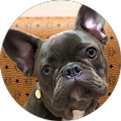 Profile photo of Karine Jay