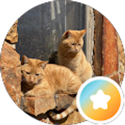 Profile photo of Bonnie Sue