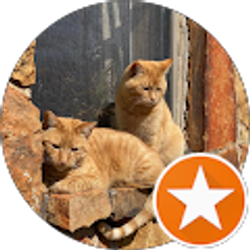 Profile photo of Bonnie Sue