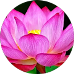 Profile photo of Cindy Hawkenson