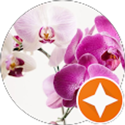 Profile photo of Pamela Philips