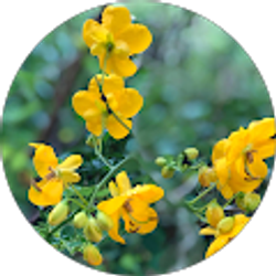 Profile photo of Christina Bilden