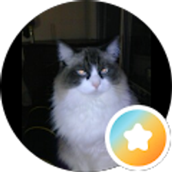Profile photo of connie mitchell