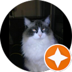 Profile photo of connie mitchell