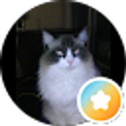 Profile photo of connie mitchell