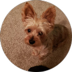 Profile photo of Robert Larson