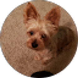 Profile photo of Robert Larson