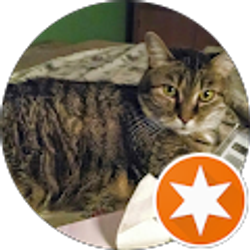 Profile photo of cher reynolds