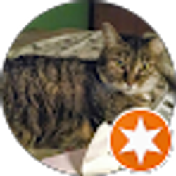 Profile photo of cher reynolds