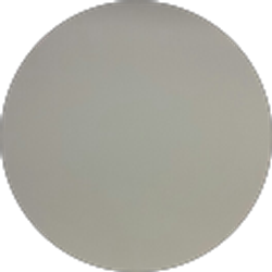 Profile photo of Michael LoVerde