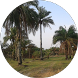 Profile photo of Lisa Lisa