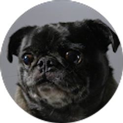 Profile photo of kelly smith