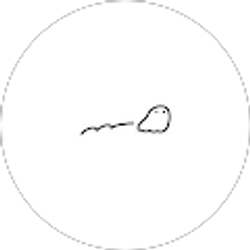 Profile photo of Xuan Fan