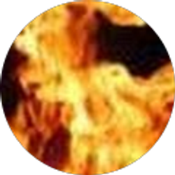 Profile photo of Blake Berken