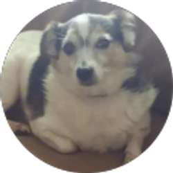 Profile photo of Angie Doyle