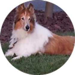 Profile photo of Michael Manbeck