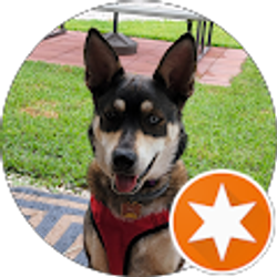 Profile photo of Michele Frederick