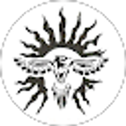 Profile photo of Bethani Robinson