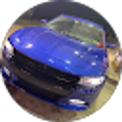 Profile photo of captain cody555