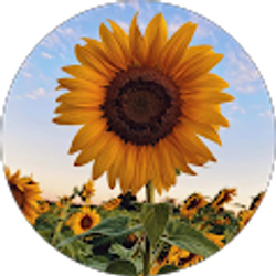 Profile photo of Christina Voss