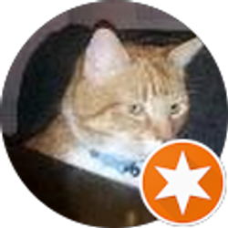 Profile photo of First Last