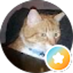 Profile photo of First Last