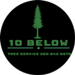 Profile photo of victor