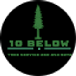 Profile photo of victor