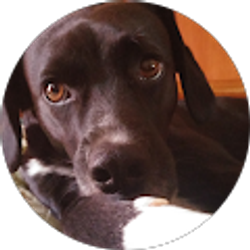 Profile photo of Misty Robson Timberlake