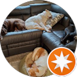 Profile photo of hwileyiii