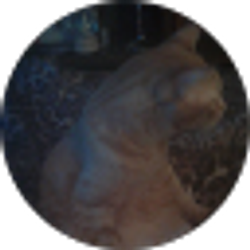 Profile photo of Taylor Townsend