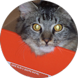 Profile photo of Jeremy Zema