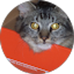 Profile photo of Jeremy Zema