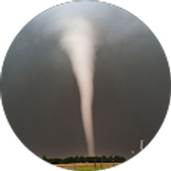Profile photo of Tornado