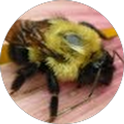 Profile photo of Jennifer Heckmann