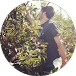 Profile photo of Nicholas Azevedo