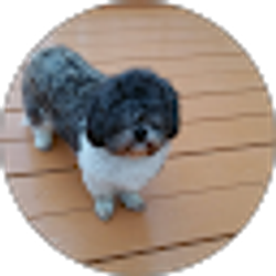 Profile photo of Lloyd Griffin