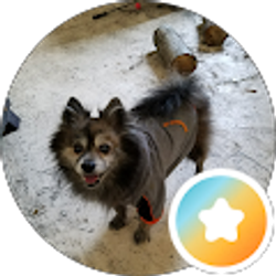 Profile photo of Bobbie Wharton