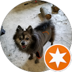 Profile photo of Bobbie Wharton