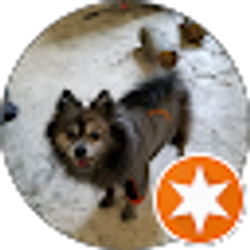 Profile photo of Bobbie Wharton