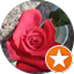 Profile photo of Terry Howard