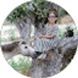 Profile photo of Ramona Trent