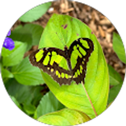 Profile photo of rachel palmer