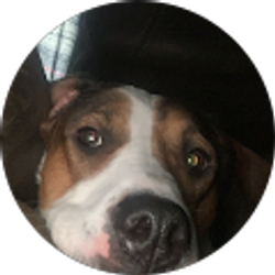 Profile photo of Dommy Dahmer