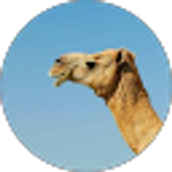 Profile photo of Brian O'Connell
