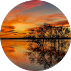 Profile photo of John Williams