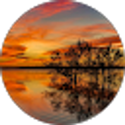 Profile photo of John Williams